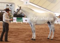 W VYP KENIANA, DE VYP, CAMPEONA JOVEN DEL CONCURSO